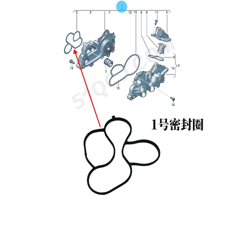 Volkswagen EA211 Bora Sagitar Touran Golf Lavida Lingdu Polojeta Оригинальное кольцо для водяного насоса