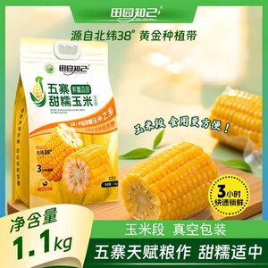 田园知己五寨黄糯玉米段1.1kg【8段】