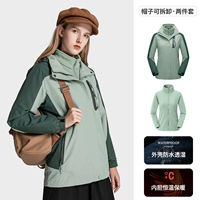 Фруктовый зеленый (самка) -80953