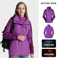 Фиолетовый (женщина) -80953