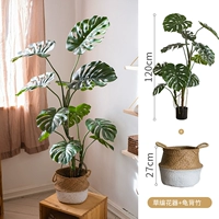 Соломенный, 27см, 120см