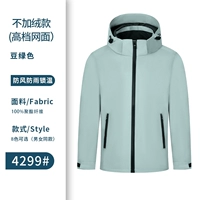 C Type-Dou Green