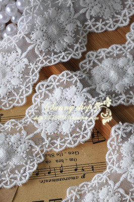taobao agent 5cm rice white bilateral mesh cotton embroidered lace lace HB10060216