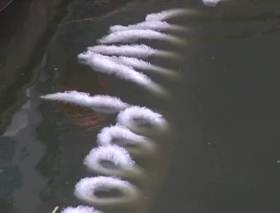 Фабрика прямой -выключение косички -типа -типа наполнителя биологическая веревка