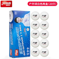 Настольный теннис на открытом воздухе (20) белый