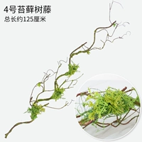 № 4 моделирование моховой виноградной лозы