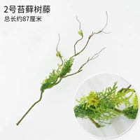 № 2 моделирование моховой виноградной лозы