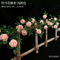 Наложная виноградная лоза с легкой розовой