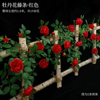 Наложница пион -виноградной лозы красные