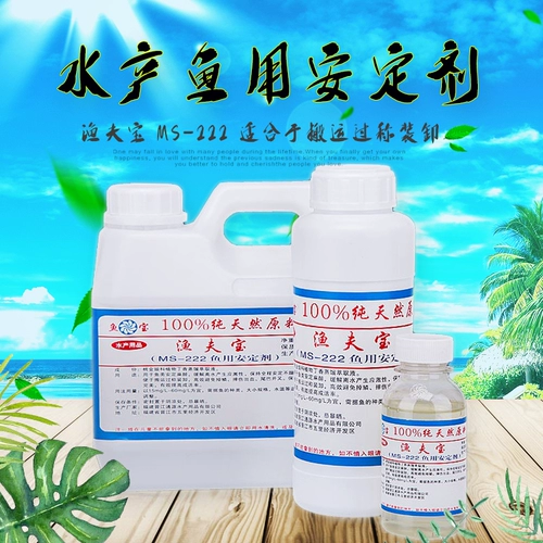 Точечная рыба Использование стабильной рыбы Fufu Treasure Aquatic Products Fish Используйте стабилизатор MS-222 Рыбац