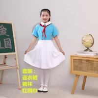 Синий короткий шейный платок, колготки