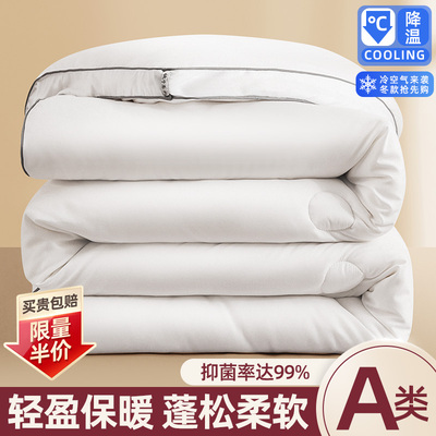 taobao agent Winter quilt quilt is thickened and warm in spring and autumn.