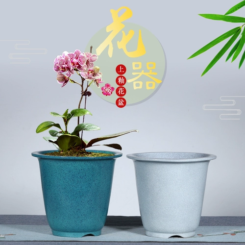 Самостоятельно выпущенный бутик -бутик -глазурь с пурпурным песчаным горшком с крупно -калибрами -орхиделью горшок из свинины Полихид, джентльменская орхидея керамический рабочий стол
