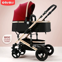 Местный тиран Золотой драгоценный камень красное заднее колесо резина