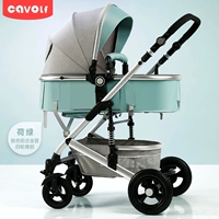 Серебряная алюминиевая труба лотос зеленый четыре -резина