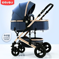 Местный тиран золотая джинсовая джинсовая деним -синий четверок