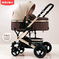 Местная золотая трубка шоколадное заднее колесо резина