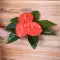 Hoa Giả 50 Cm Nơi Bàn Anthurium Nhân Tạo Vật Có Hoa Cây Cảnh Bộ Nhỏ Hoa Trang Trí Nội Thất Phòng Khách cây cảnh giả trang trí phòng khách Cây hoa trang trí