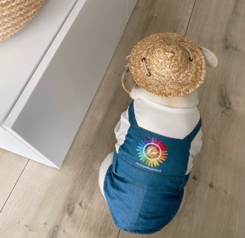 FA DOU Одежда баро одежда Baro Fato Dou Dou Dou Douye Alled Bashe Fake Two Cowboy Fat Fat Clates