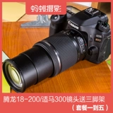 [TMALL] Фотография муравья Canon 80D 18-200 SET EOS 80D Профессиональный класс Цифровой Высокий Туризм Туризм SLR камера