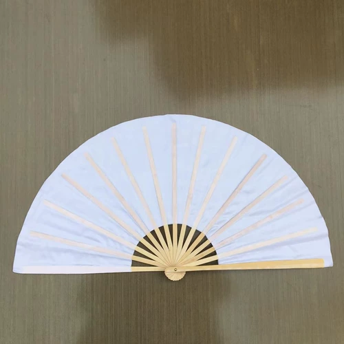 Бесплатная доставка New Dance Fan Promotion