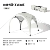 Вестибулярный утренний туман