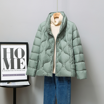 taobao agent Demi-season light and thin short keep warm fashionable down jacket, plus size