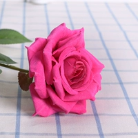 10 ветвей в наложнице