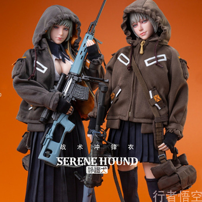 taobao agent Clothing, tactics jacket, doll, scale 1:6, soldier