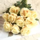 Volta Rose