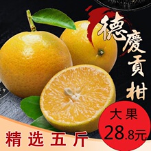 天子柑新鮮包郵圖片 價格 一淘網
