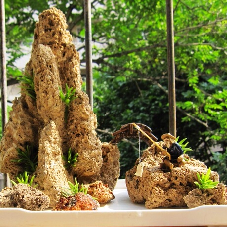 爱逛街为您找到上水石盆景相关的宝贝,您可以在下面的板块中挑选喜欢