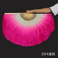 То же самое видео о настоящем шелковом вентиляторе белый рот розы роза Длина красной кости 31 плавание 10 см.