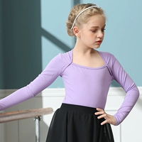 Фиолетовые длинные рукава (одиночный верх)