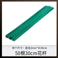 30 см Короткого Цветочного стержня 50 Корни