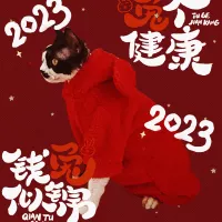 Красный Новый год с четырьмя перевернутыми кроликом (просит обслуживание клиентов в не -местных магазинах в главном магазине)