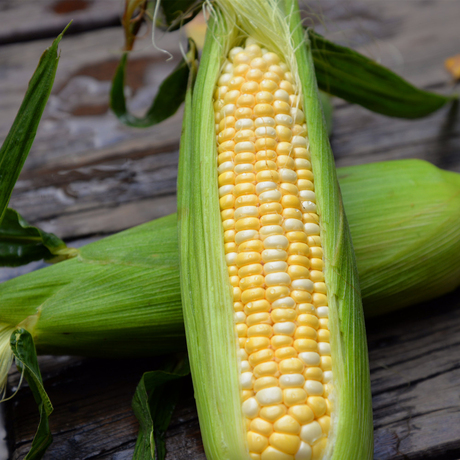 【新鲜甜玉米】_水果玉米图片_特产甜玉米价格_搭配分享 - 爱逛街