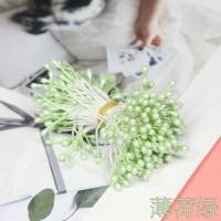 Около 120 зеленых чисел мяты