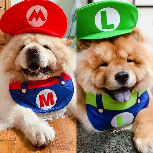 Qiaojian yu мама/оригинальный дизайн Mario Pet Dog Dog Dog Waterfel Большое собачье водонепроницаемое книга Чоу Чоу