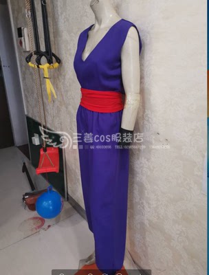taobao agent Dragon Ball, clothing, cosplay