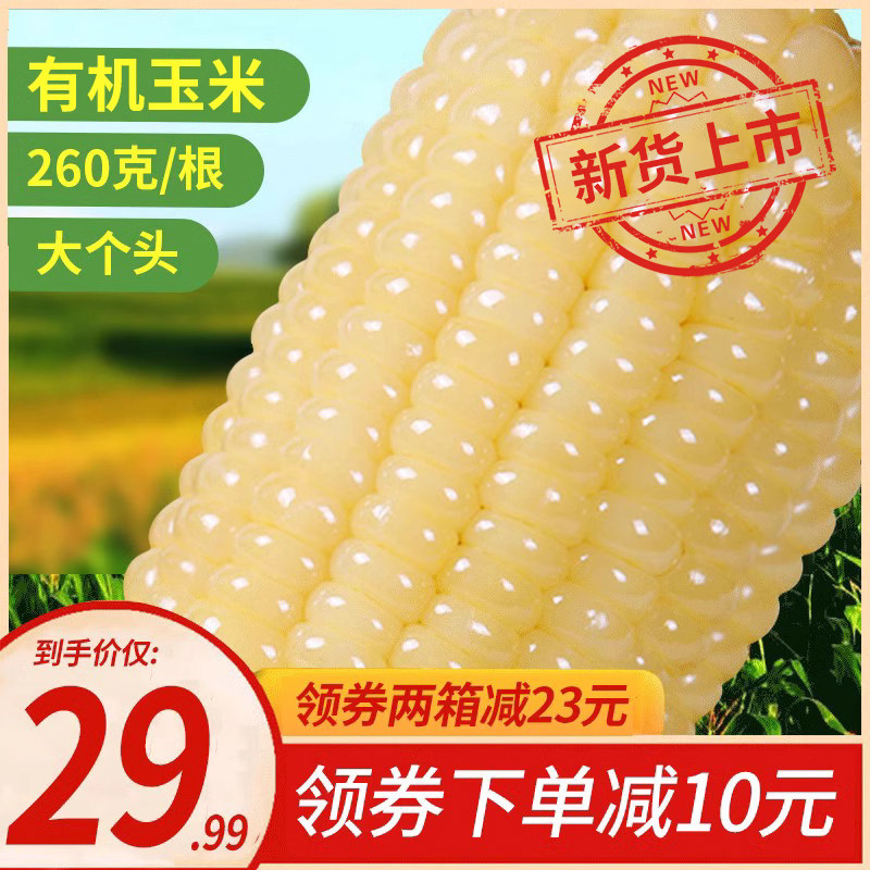 23年新货】禾久甜糯玉米鲜食粘糯非东北玉米棒粒非转基因真空8根