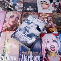 Монбланка Снежная гора