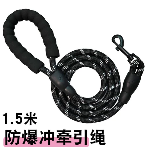 Большие собаки у домашних животных с длинной собакой удлиненной собакой Тяж