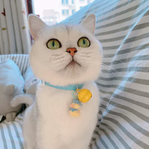 Милый чокер, регулируемый колокольчик, шарф, аксессуар, утка, кот