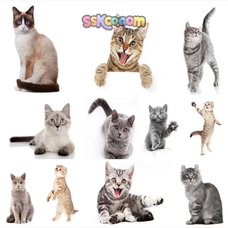 夜空日月繁星星轨插图照片风景壁纸高清4k摄影图片设计背景素材