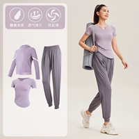 [Короткий -слейвинг] Три -купая TC33868 藕 Purple+Titanium Grey
