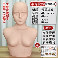 Половина -тело мягкое (акупунктура для резьбы на полной лице)+картинка