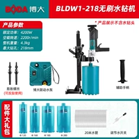 Новый BLDW1-218 безмолковой анета (с кронштейном)+водяной насос для сцепления+(120/168/180/200 BIT)+Подарочный пакет 4200W