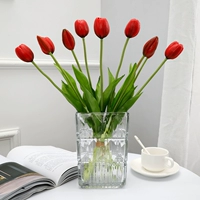 2 Red+Luloso Glass Transparent Vase