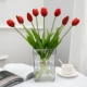 2 Red+Luloso Glass Transparent Vase